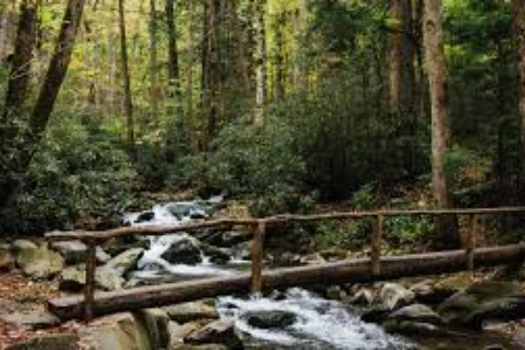 Honeymoon Getaway In Woods Near Noc And Smoky Mtn Rr Villa Bryson City Luaran gambar