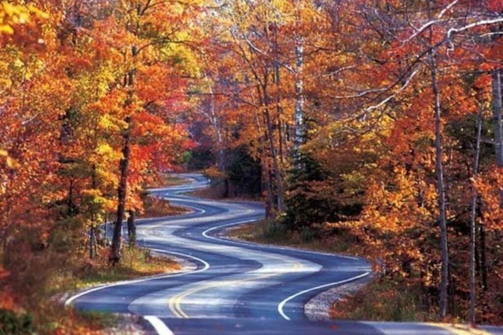 Honeymoon Getaway In Woods Near Noc And Smoky Mtn Rr Villa Bryson City Luaran gambar